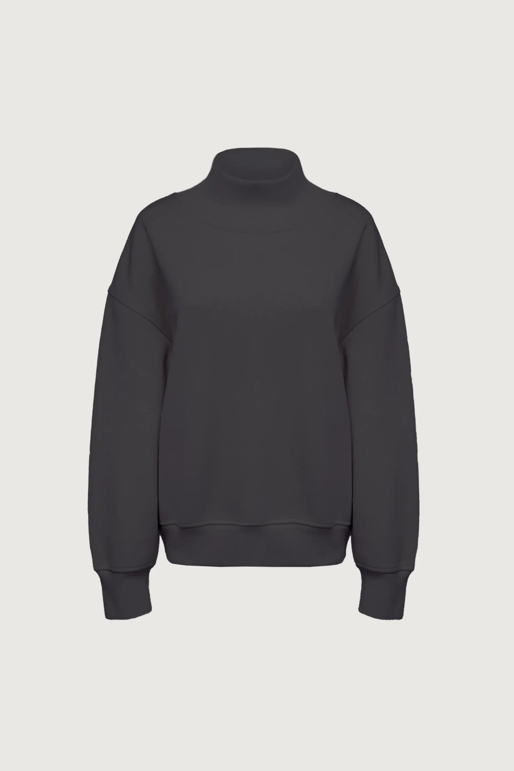 TURTLENECK SWEATSHIRT